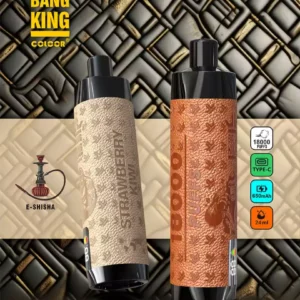 Bang King Shisha 18000 Puffs DTL Hookah Disposable Vape18K Wholesale Vape Pen Bulk Buy 12 Flavors Big Cloud Type -C with Display 2