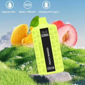 Wholesale Old School DM12000 Puffs Disposable Vape Pen 12K 18ml Nicotine 0% 2% 3% 5% Mesh Coil Type-C Charging Factory Direct 2