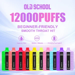 Wholesale Old School DM12000 Puffs Disposable Vape Pen 12K 18ml Nicotine 0% 2% 3% 5% Mesh Coil Type-C Charging Factory Direct 3